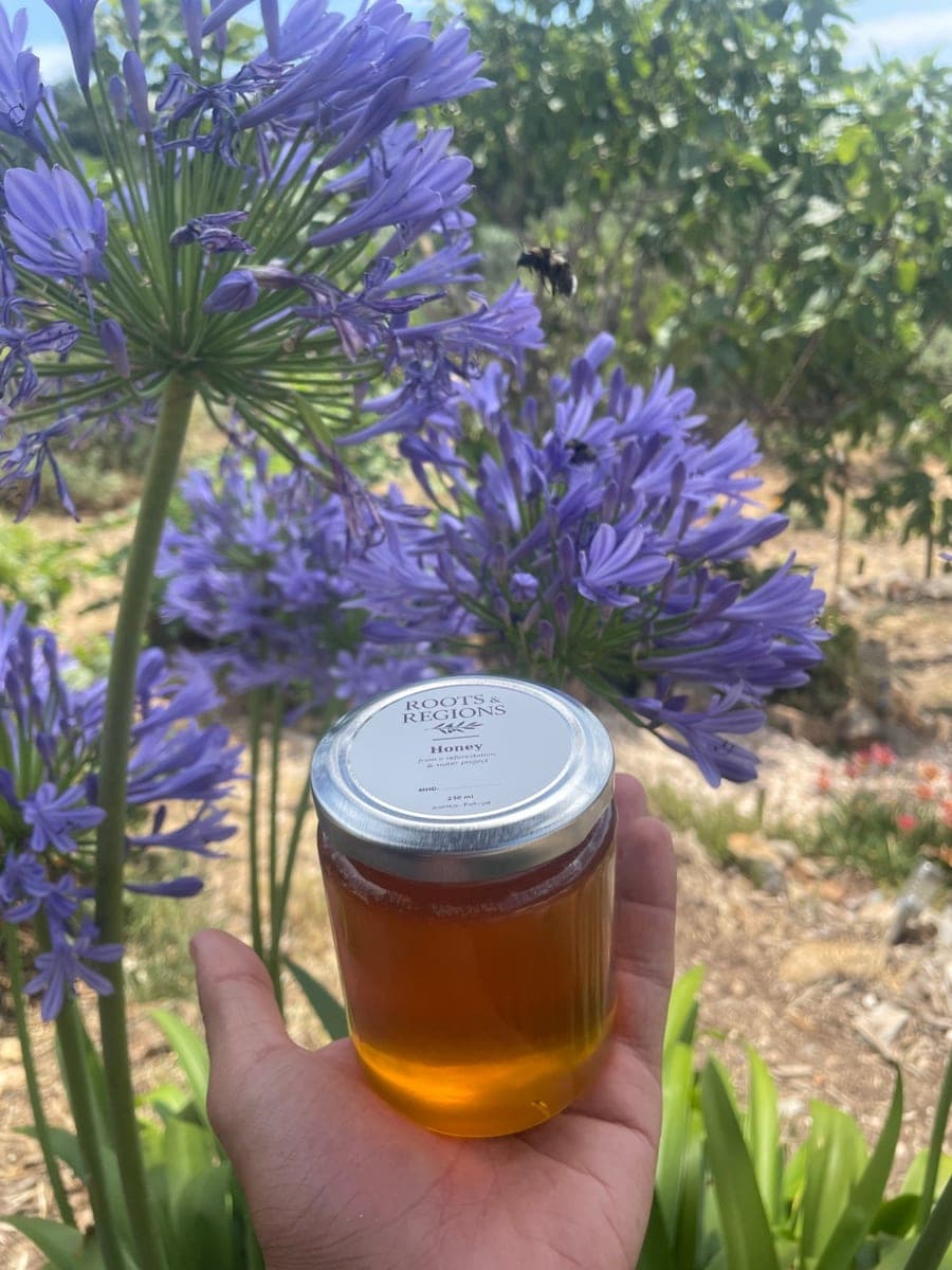 Honig Alentejo (320 g)